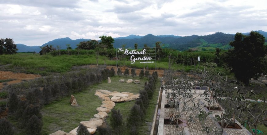 Sky walk เคียงดอย สกายวอล์คแม่สอด The natural garden