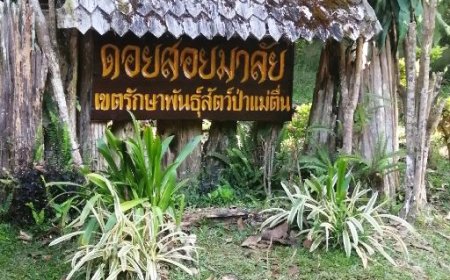 ดอยสอยมาลัย เขตรักษาพันธุ์สัตว์ป่าแม่ตื่น