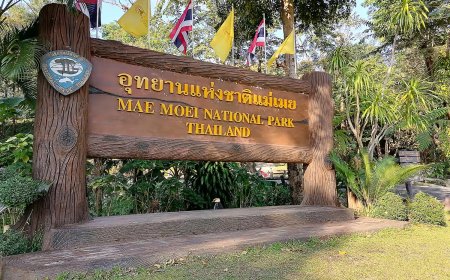 อุทยานแห่งชาติแม่เมย อำเภอท่าสองยาง จังหวัดตาก