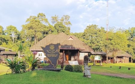 เขตอนุรักษ์พันธ์สัตว์ป่าทุ่งใหญ่นเรศวร