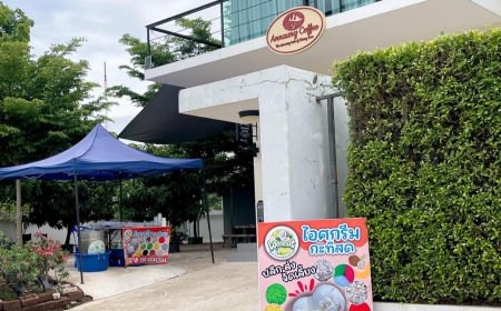 โกโก้ร้านไอ้ต้น สาขาแม่สอด (Annaung Coffee)