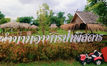 ร้านตำนานอาหารป่าพิสดาร แม่สอด