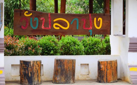 วังปลาปุง อำเภออุ้มผาง จังหวัดตาก