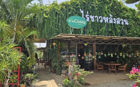 ไร่ชาวหลังสวน Chao Langsuan อ.พบพระ