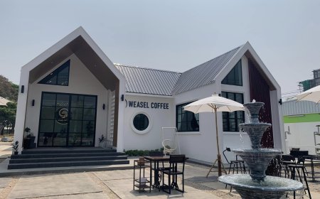 วีเซิล คอฟฟี่ Weasel Coffee Maesot