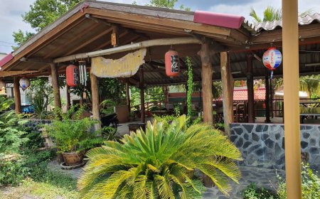 ร้านเรือนโสนน้อย (ดารุมะ) บ้านตาก