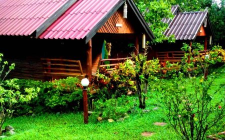 ม่อนหินฝนฮัท เสน่ห์บ้านไม้ กลิ่นไอขุนเขา