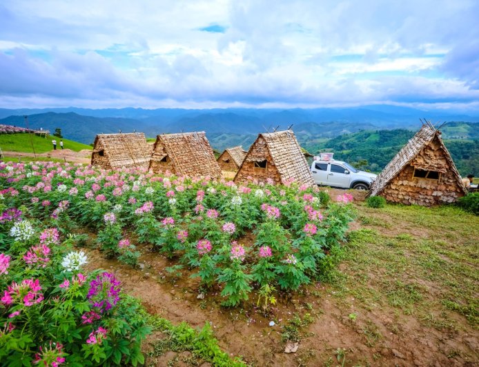 ทะเลหมอกม่อนตะวัน อ.พบพระ จ.ตาก