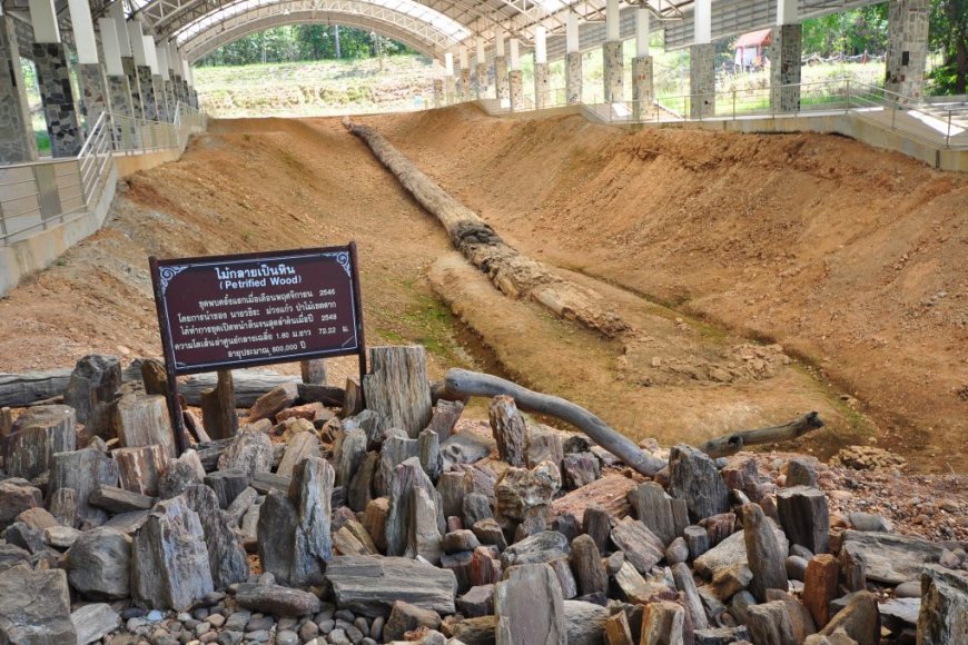 วนอุทยานแห่งชาติเขาพระบาท (ไม้กลายเป็นหิน)