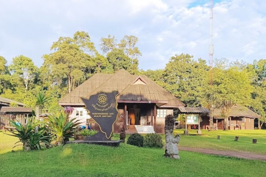 เขตอนุรักษ์พันธ์สัตว์ป่าทุ่งใหญ่นเรศวร