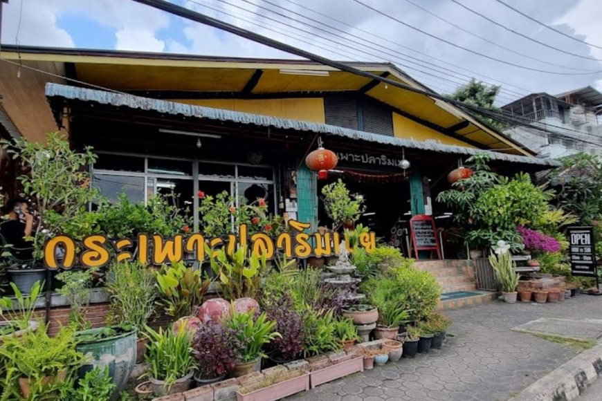 ร้านกระเพาะปลาริมเมย อำเภอแม่สอด