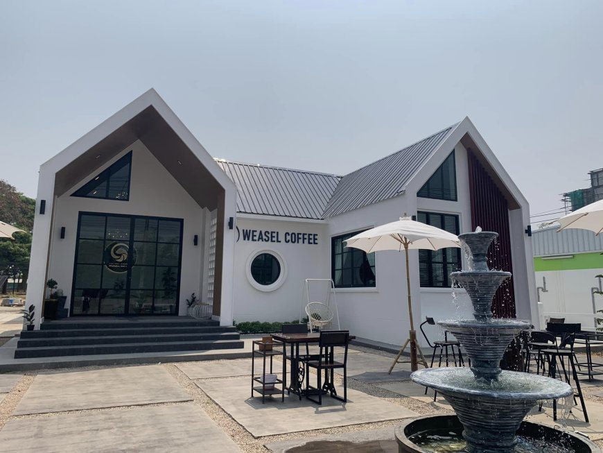 วีเซิล คอฟฟี่ Weasel Coffee Maesot