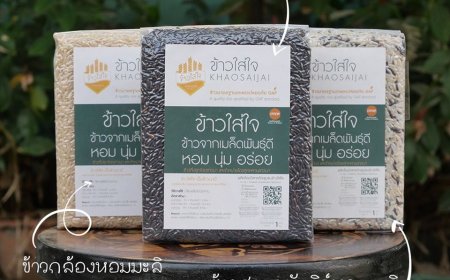 วิสาหกิจชุมชนข้าวใส่ใจ อ.แม่สอด