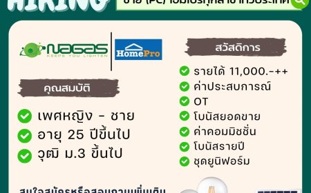 บริษัท ลีน่า พี.แอล.โฮม. รับสมัคร PC เพิ่มโฮมโปทุกสาขาทั่วประเทศ