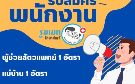 รูมแมท รักษาสัตว์ รับสมัครพนักงาน 2 ตำแหน่ง