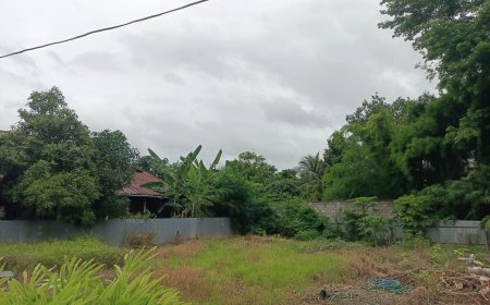 ประกาศขายที่ดินด่วนตำบลแม่กุ