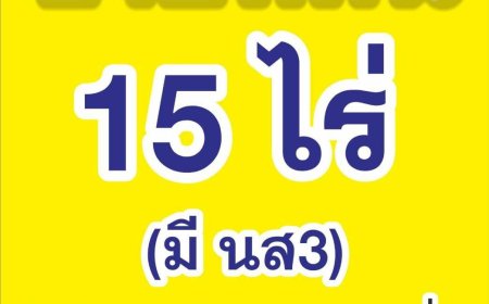 ขายที่ดินเปล่า 15 ไร่ บ้านวังตะเคียน
