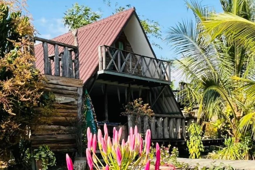 โฮมสเตย์บ้านป่าไร่เหนือ  Home stay