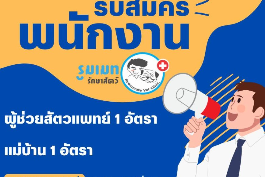 รูมแมท รักษาสัตว์ รับสมัครพนักงาน 2 ตำแหน่ง