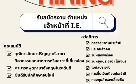 รับสมัครงาน บริษัท ทีเอ็นแอลเอ็กซ์ จำกัด สาขาแม่สอด