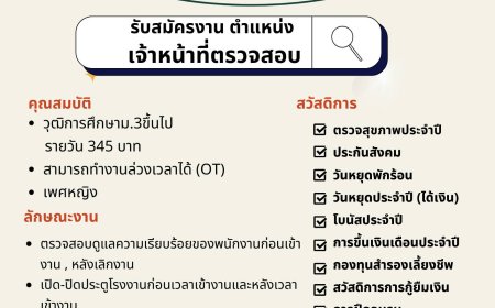 รับสมัครงานรายวัน บริษัท ทีเอ็นแอลเอ็กซ์ จำกัด สาขาแม่สอด