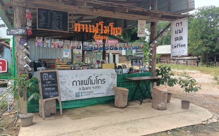 ร้านกาแฟโมโกร รับสมัครพนักงาน ชงกาแฟสด