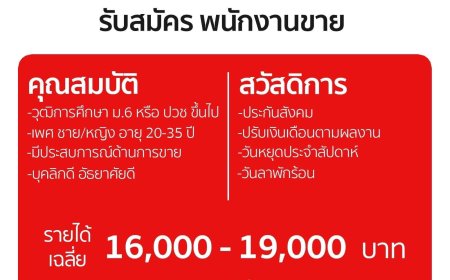 Mega Furniture สาขาแม่สอด รับสมัครงานพนักงานขาย 2 อัตรา