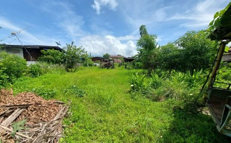 ขายที่ดินเปล่า 1 งาน 3 ตรว. ข้างๆ วัดดอนมูล