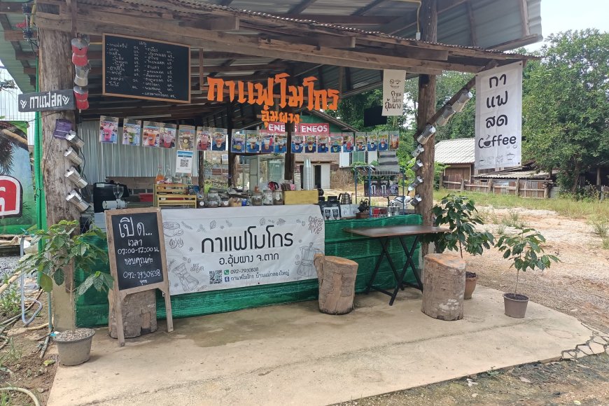 ร้านกาแฟโมโกร รับสมัครพนักงาน ชงกาแฟสด