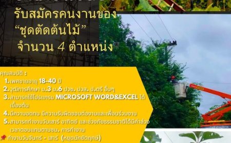 การไฟฟ้าแม่สอด รับสมัครคนงานของ“ชุดตัดต้นไม้” จำนวน 4 ตำแหน่ง