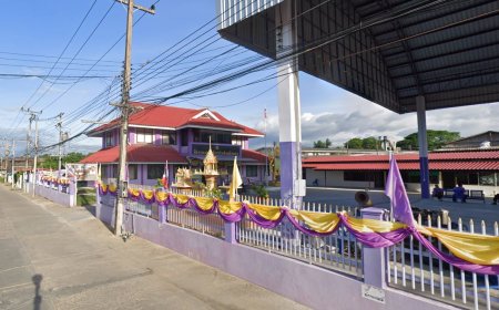 องค์การบริหารส่วนตำบล ป่ามะม่วง
