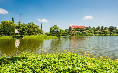 สถานที่ท่องเที่ยว หนองมณีบรรพต