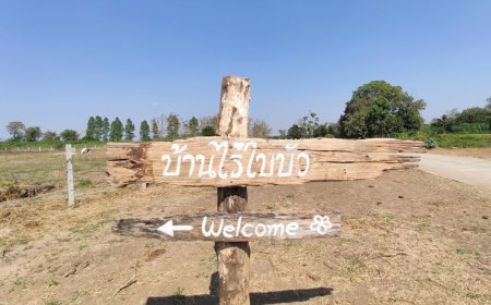 บ้านไร่ใบบัว สถานที่ท่องเที่ยว  ตำบลแม่ท้อ
