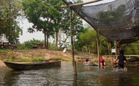 ชมนาริมห้วย สถานที่ท่องเที่ยวตำบลแม่ท้อ