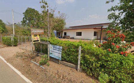 ไร่แม่กาษาวิว Rai Mae Kasa view