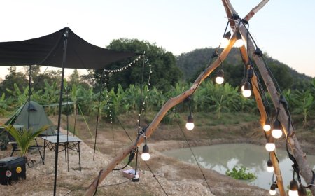 ไร่ตาโต (นายประดิษฐ์ ดีเมฆ)