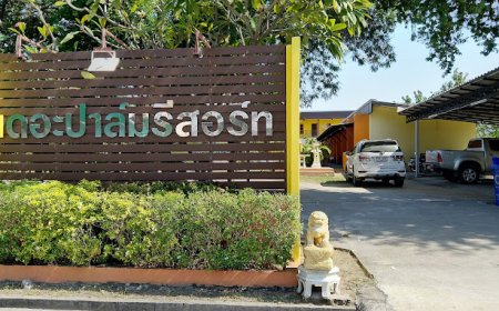 เดอะปาล์ม รีสอร์ท The Palm Resort