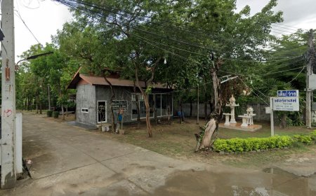ฟอเรสท์ รีสอร์ท Forest Resort