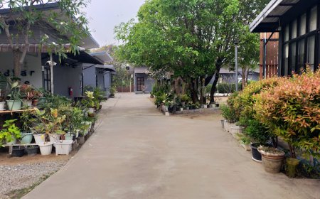 เบดบาร์ รีสอร์ท(Bed Bar Resort)