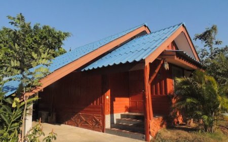 เรือนเสือน้อย Little Tiger House