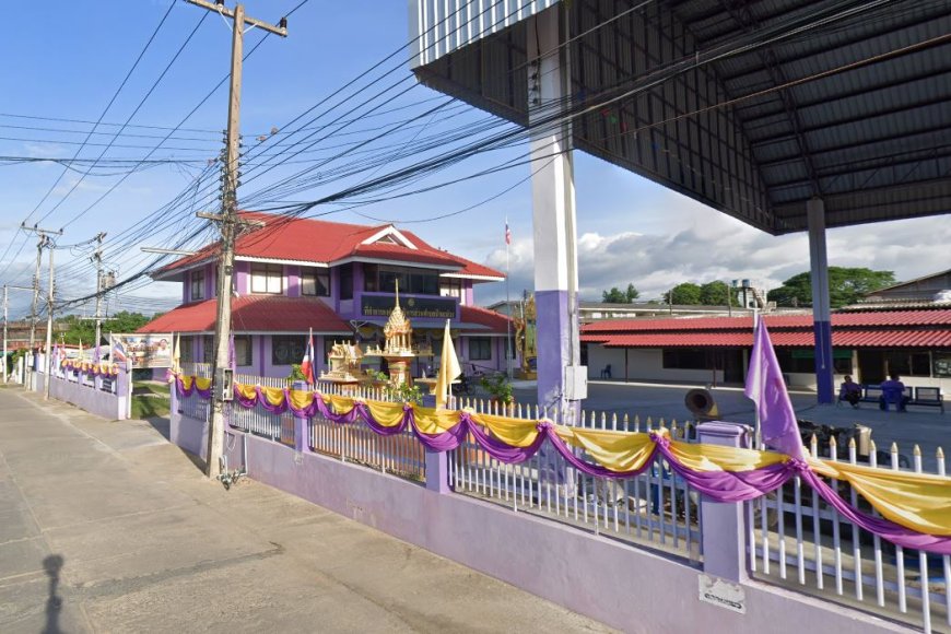 องค์การบริหารส่วนตำบล ป่ามะม่วง