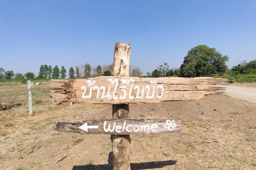 บ้านไร่ใบบัว สถานที่ท่องเที่ยว  ตำบลแม่ท้อ