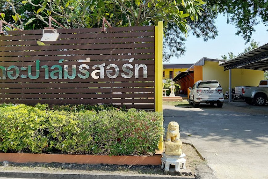เดอะปาล์ม รีสอร์ท The Palm Resort