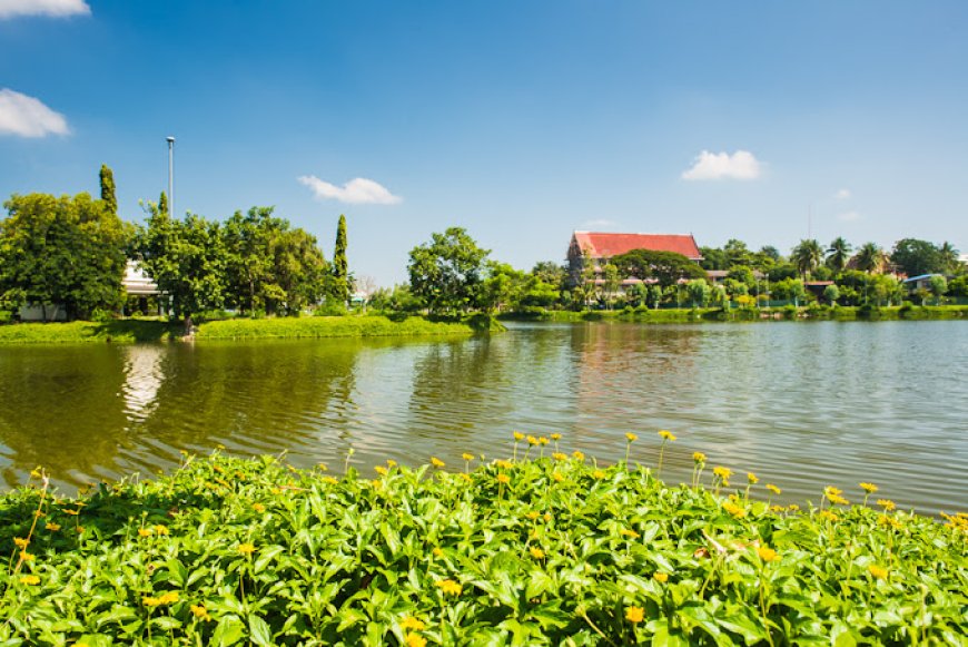 สถานที่ท่องเที่ยว หนองมณีบรรพต