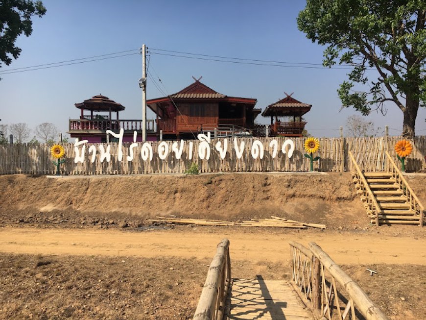 บ้านไร่ดอยเคียงดาว