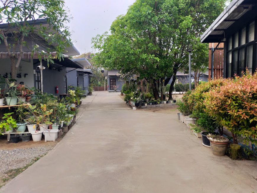 เบดบาร์ รีสอร์ท(Bed Bar Resort)