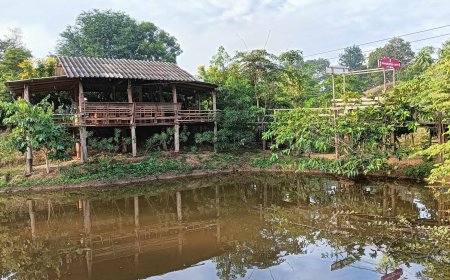 บ้านมอทะโฮมสเตย์ Baan Mottha Homestay