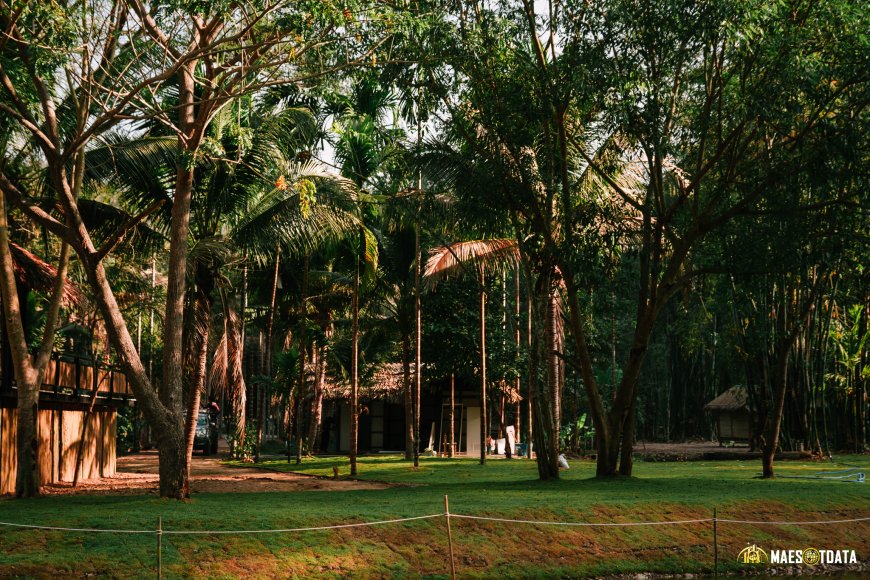 ห้วยขะเนขี้เท่อร์ สวนป่า สถานที่พักผ่อน