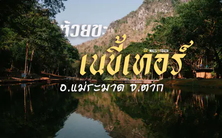 ห้วยขะเนขี้เทอร์ สายน้ำใสในป่าฮีลใจ ที่คุณต้องไปสัมผัส