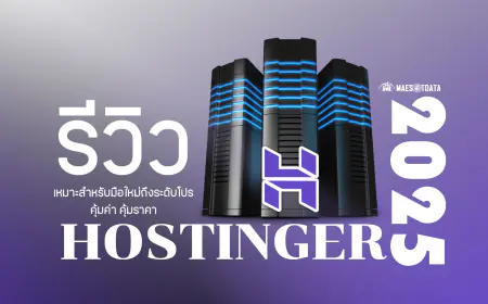 รีวิว Hostinger ปี 2025 เว็บโฮสติ้งที่คุ้มค่า คุ้มราคา สำหรับมือใหม่ถึงระดับโปร